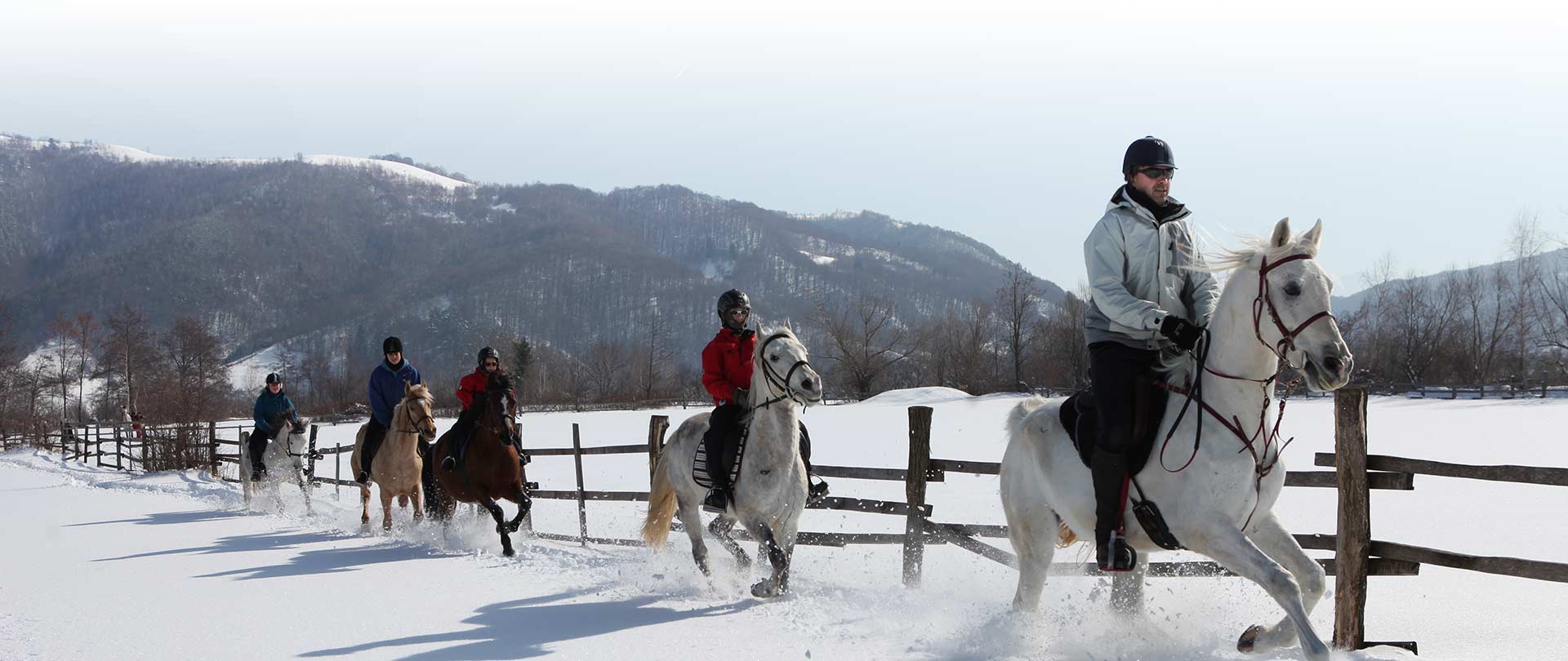 Equus Silvania – Horse Riding & Wilderness Centre