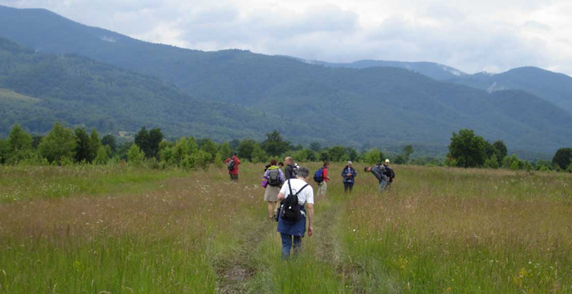 Guided Hiking Excursion