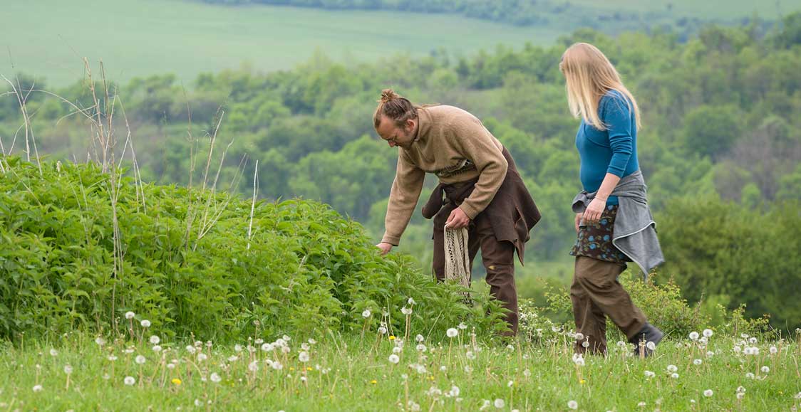 Botanical tours