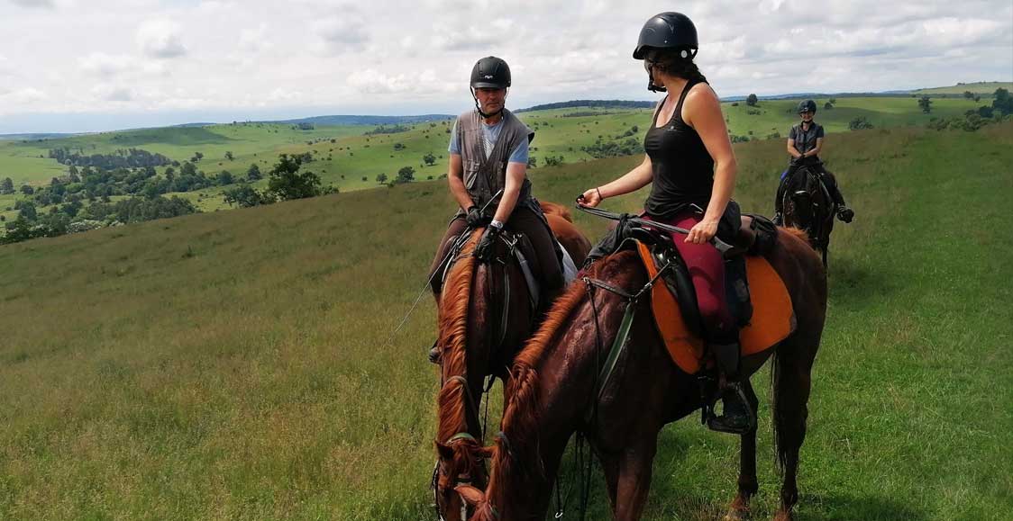 Guided riding trips
