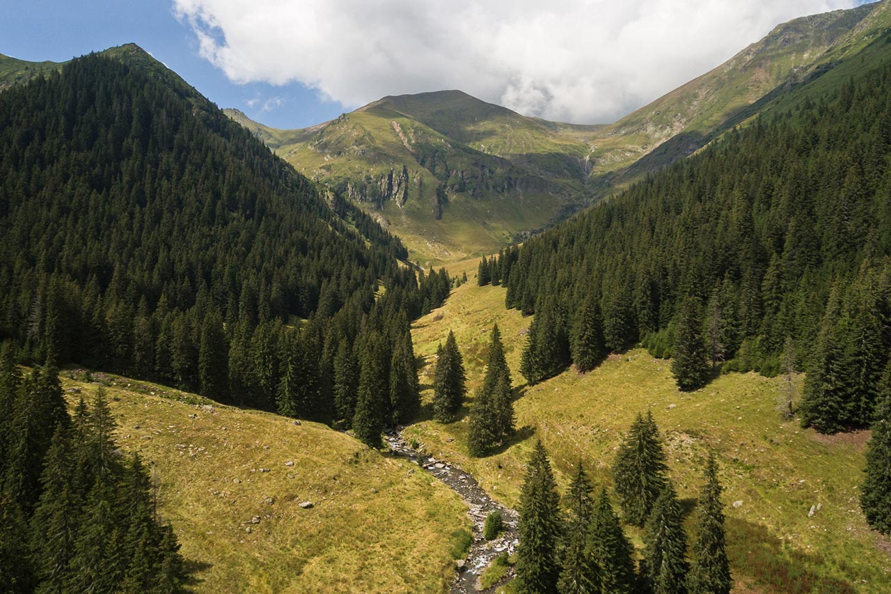 Făgăraș Mountains